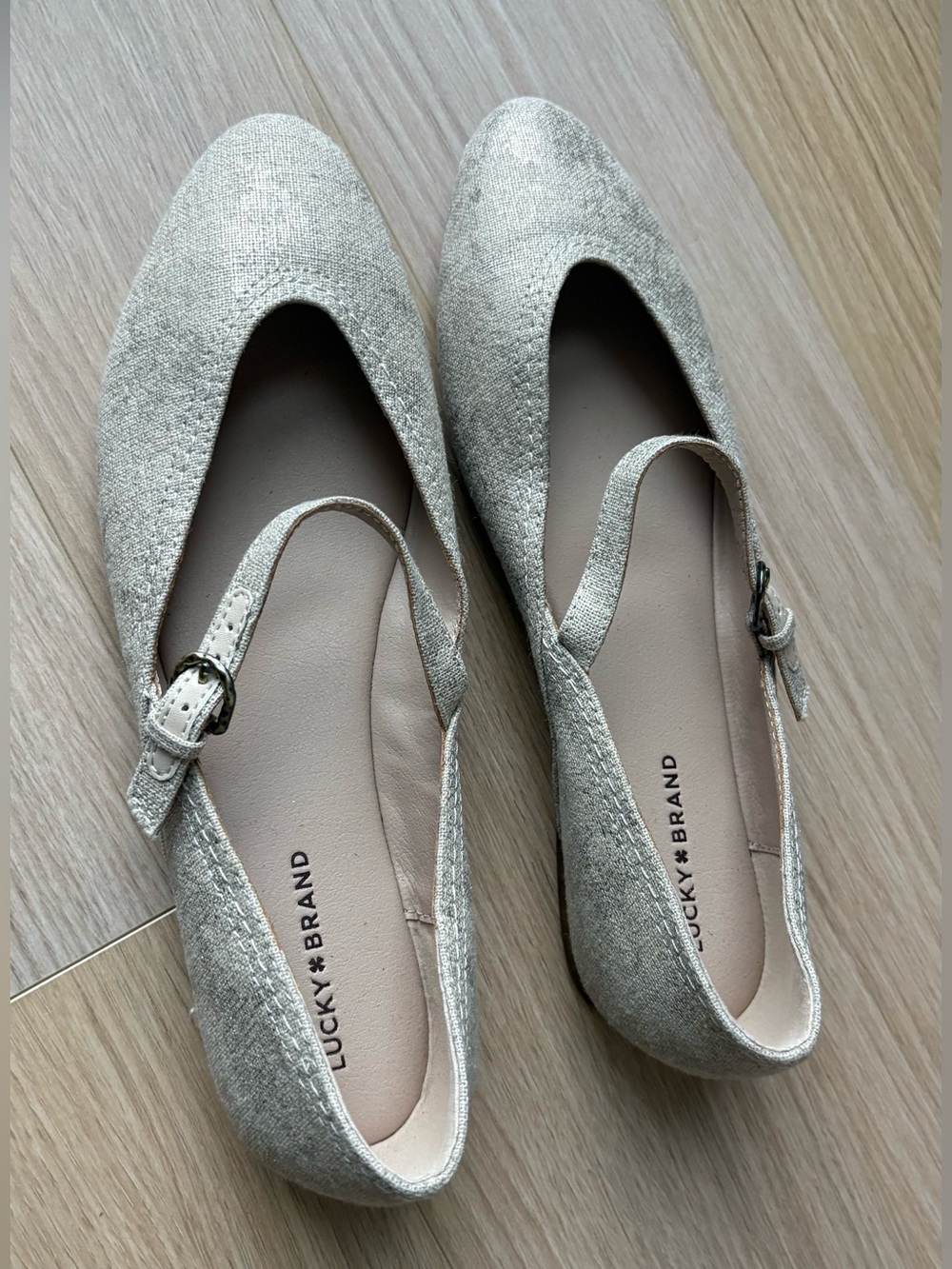 Brushed Metallic Mary Jane Flats with Buckle